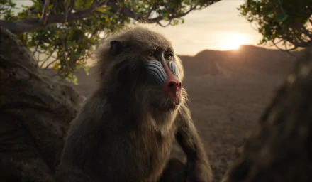 Rafiki (The Lion King) movie The Lion King (2019) HD Desktop Wallpaper | Background Image