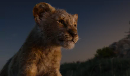 Simba movie The Lion King (2019) HD Desktop Wallpaper | Background Image