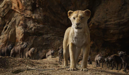 Sarabi (The Lion King) movie The Lion King (2019) HD Desktop Wallpaper | Background Image