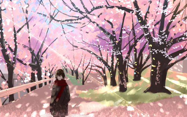 spring cherry blossom sakura Anime Original Spring Anime HD Desktop Wallpaper | Background Image