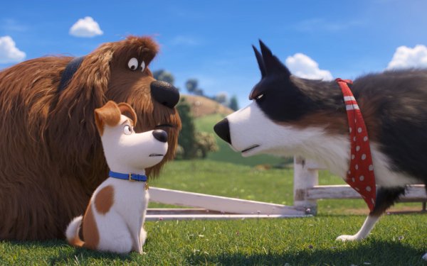 Movie The Secret Life of Pets 2 HD Wallpaper | Background Image