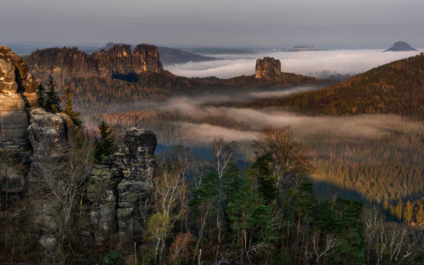 Fog weaves through the forested cliffs of the Elbe Sandstone Mountains in Germany, captured in a stunning 4K Ultra HD landscape wallpaper.