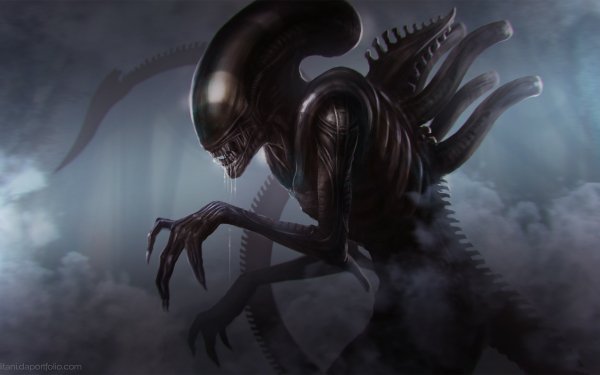 Sci Fi Alien Xenomorph HD Wallpaper | Background Image