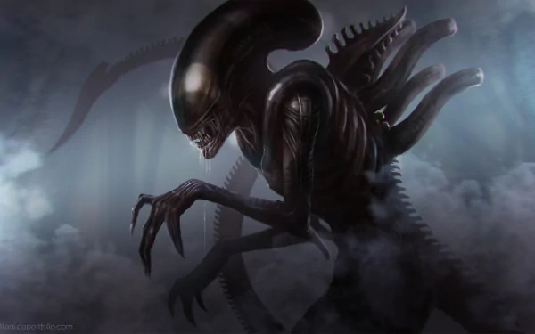 HD Sci-Fi desktop wallpaper depicting a menacing xenomorph alien emerging from mist in a dark, eerie environment.