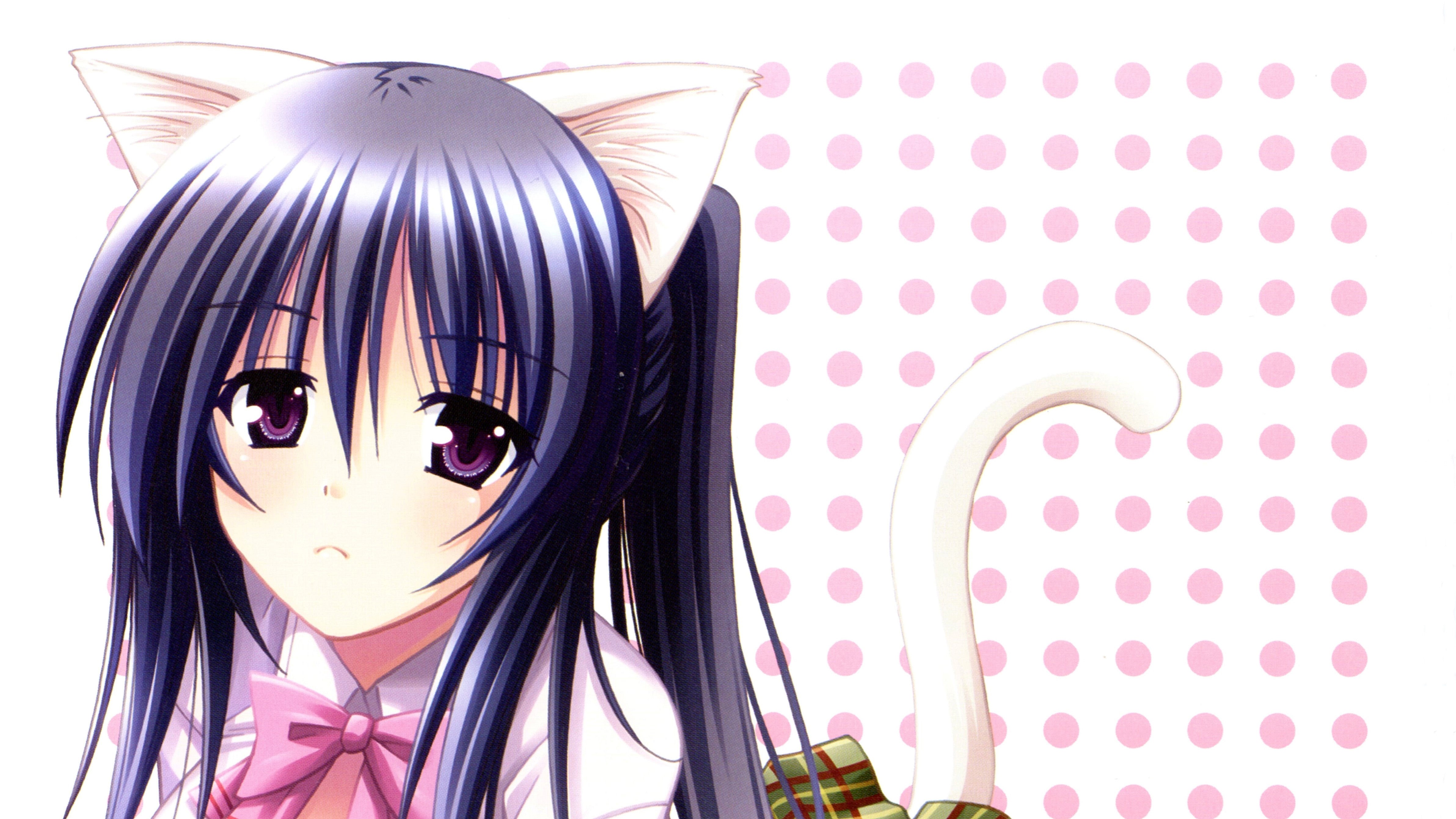 Anime Omamori Himari HD Wallpaper | Background Image