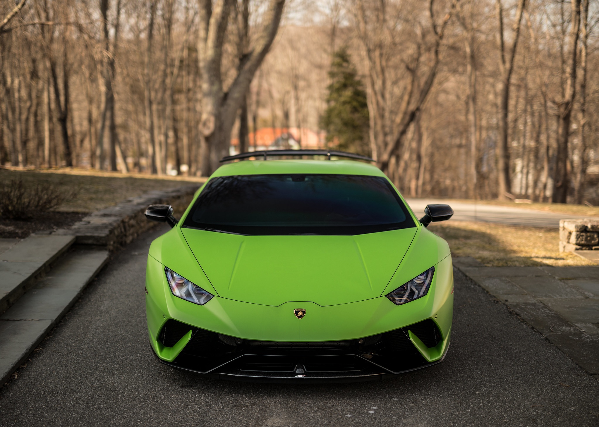 Lamborghini Green Color