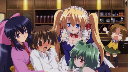 Yuto Amakawa Rinko Kuzaki Shizuku (Omamori Himari) Lizlet L. Chelsie Himari Noihara Anime Omamori Himari HD Desktop Wallpaper | Background Image