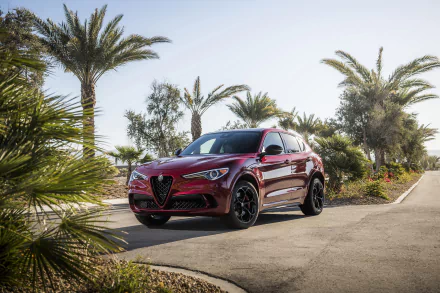 SUV Alfa Romeo car vehicle Alfa Romeo Stelvio Quadrifoglio HD Desktop Wallpaper | Background Image