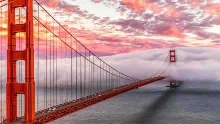 HD desktop wallpaper of the Golden Gate Bridge shrouded in clouds, set against a vibrant sunset sky.