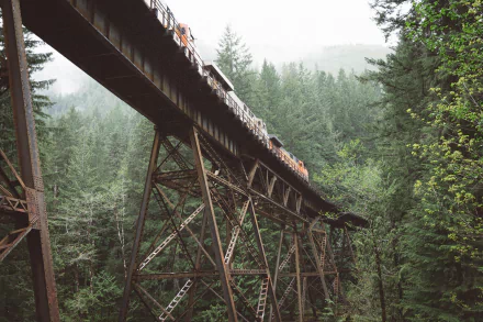4K Ultra HD image of a train crossing a tall rail bridge surrounded by dense green forest, captured from below with misty mountains in the background.