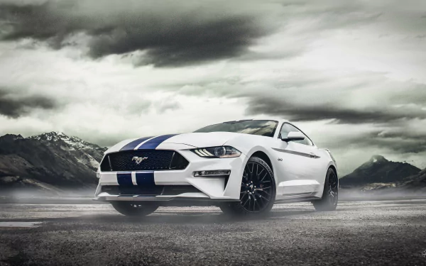 vehicle Ford Mustang Shelby GT500 HD Desktop Wallpaper | Background Image