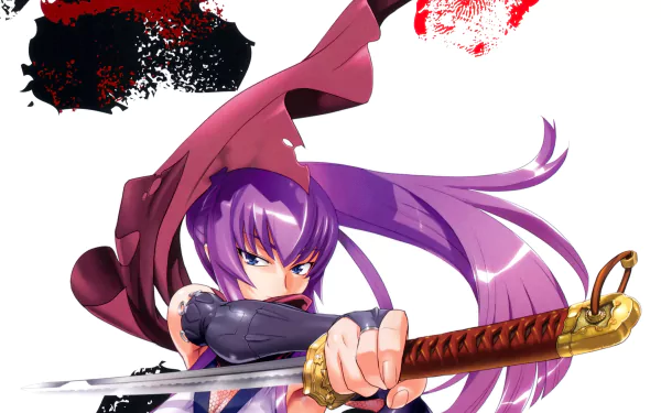 Saeko Busujima Anime Highschool Of The Dead HD Desktop Wallpaper | Background Image