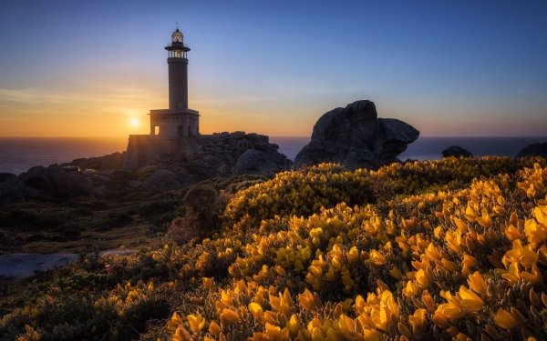 Man Made Lighthouse Sunset Building Yellow Flower HD Wallpaper | Background Image