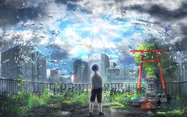Anime Weathering With You Hodaka Morishima HD Wallpaper | Background Image