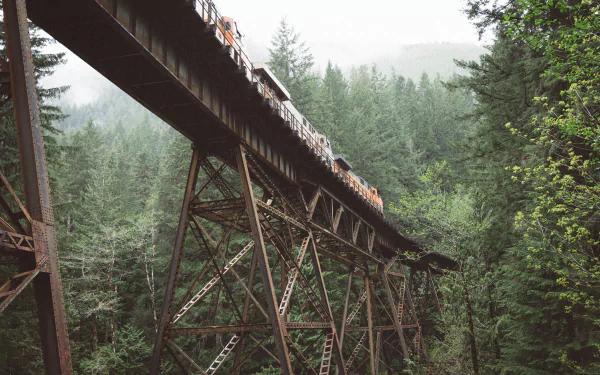 4K Ultra HD image of a train crossing a tall rail bridge surrounded by dense green forest, captured from below with misty mountains in the background.