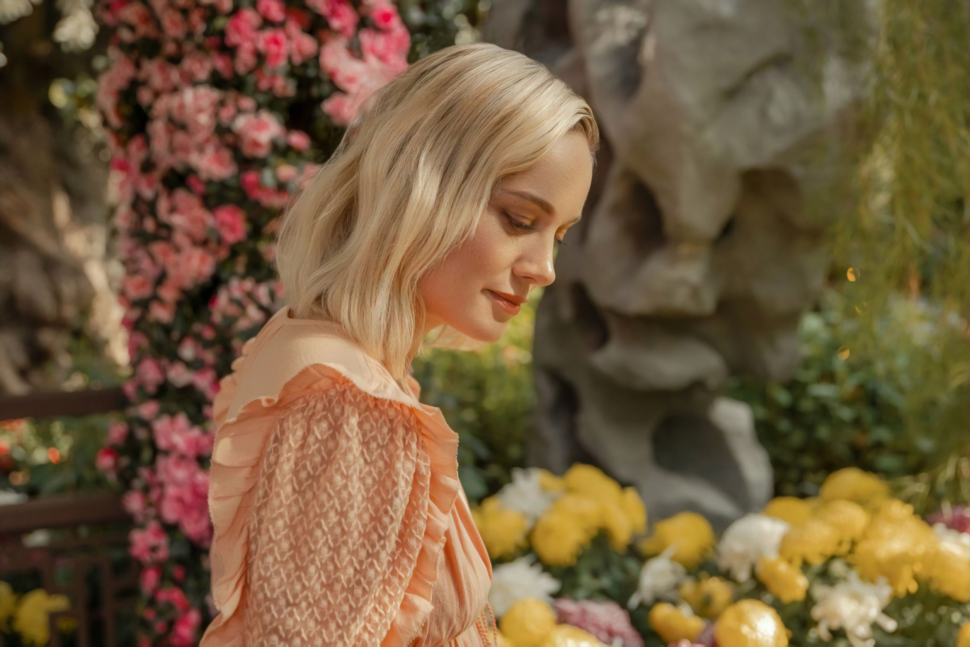 Download Celebrity Brie Larson HD Wallpaper