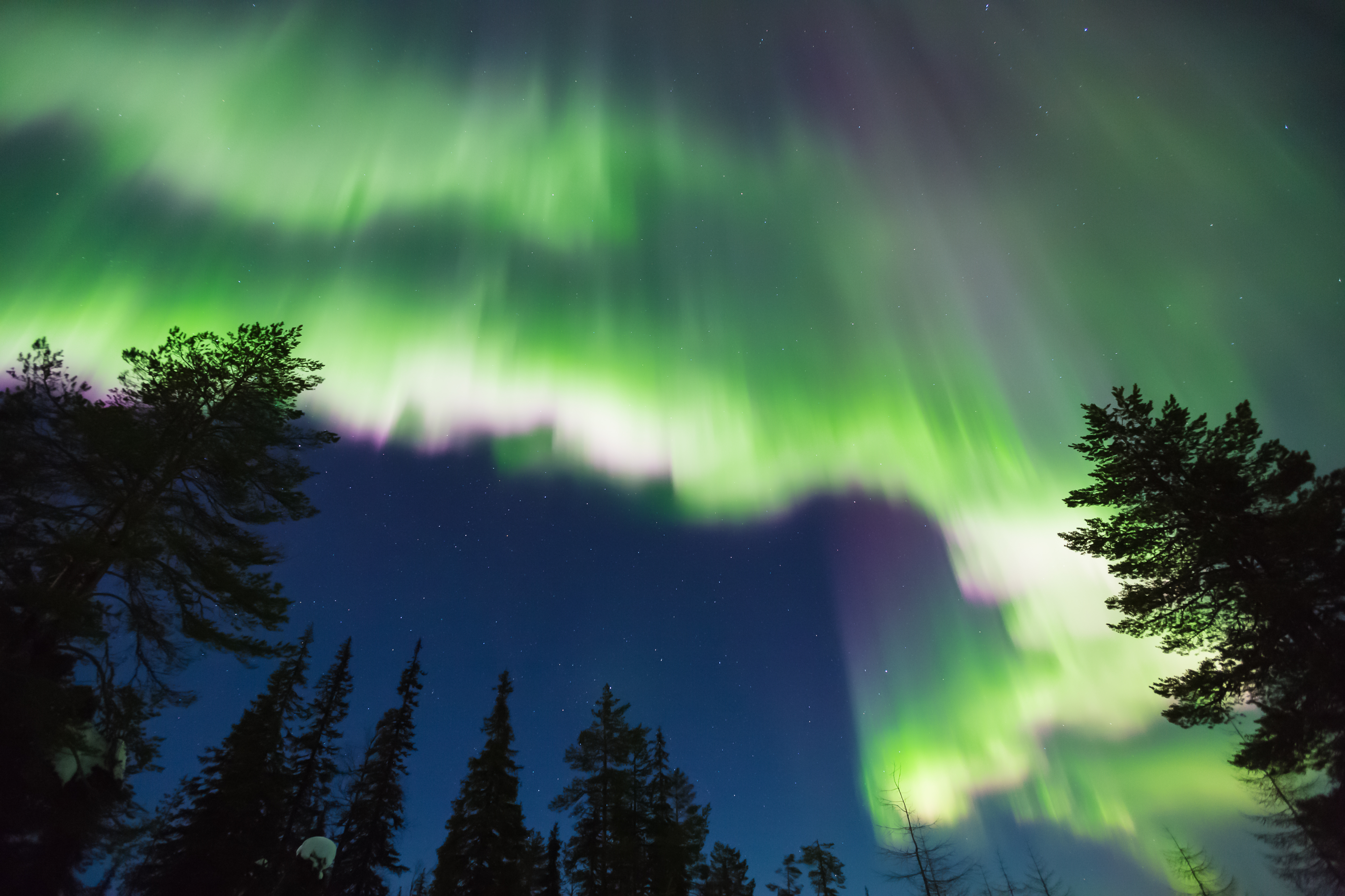 Download Nature Aurora Borealis 4k Ultra HD Wallpaper