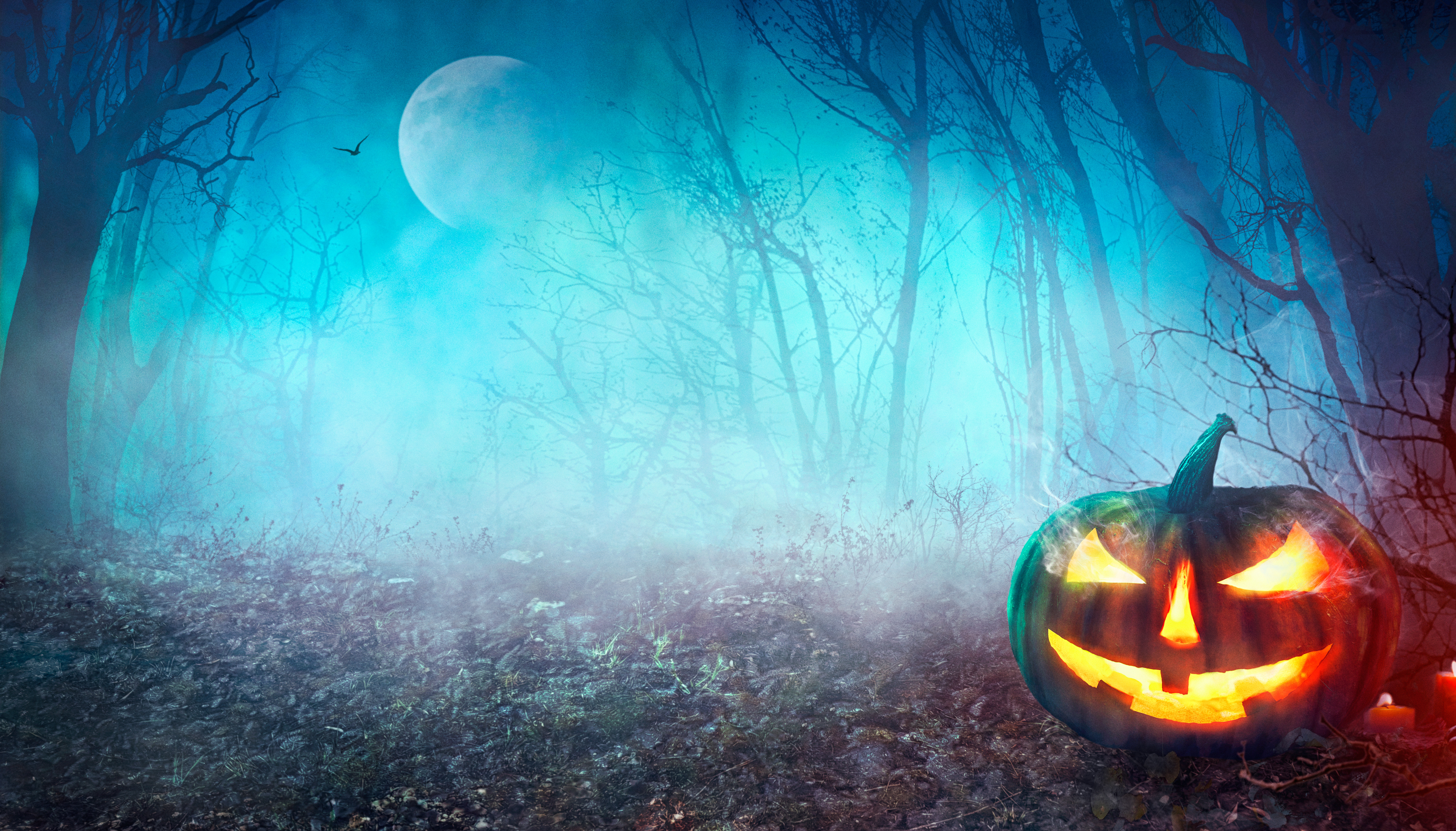 Halloween 5k Retina Ultra HD Wallpaper | Background Image | 5472x3125