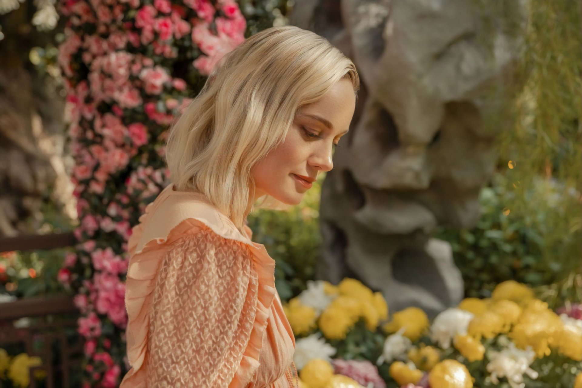 Download Celebrity Brie Larson HD Wallpaper