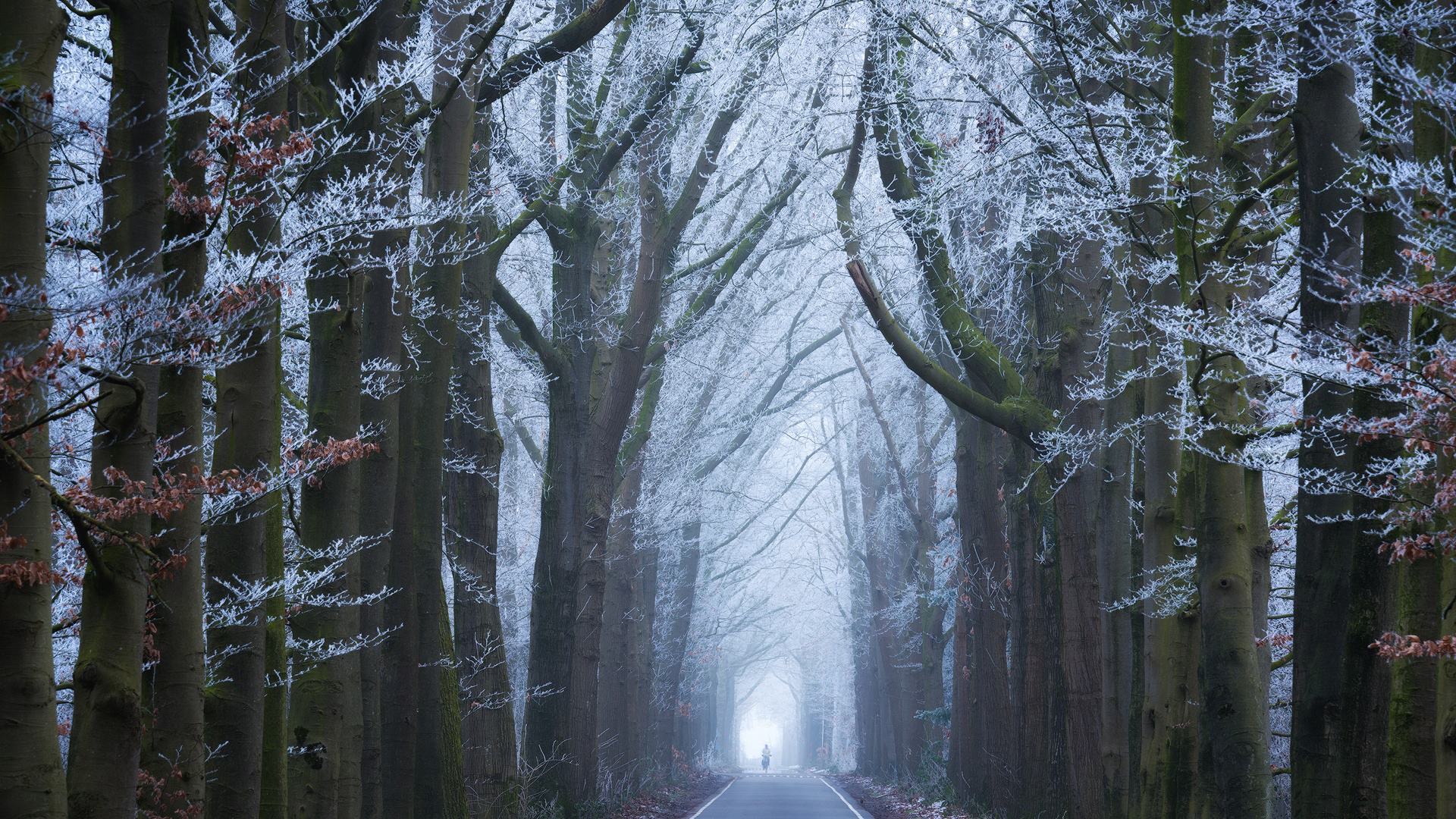 Man Made Road HD Wallpaper