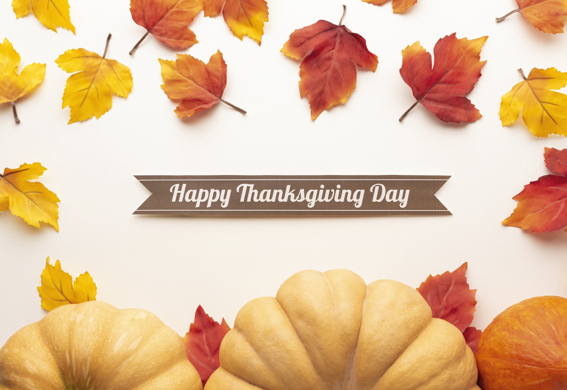 Download Fall Pumpkin Leaf Holiday Thanksgiving 4k Ultra HD Wallpaper