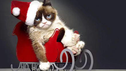 cat movie Grumpy Cat's Worst Christmas Ever HD Desktop Wallpaper | Background Image