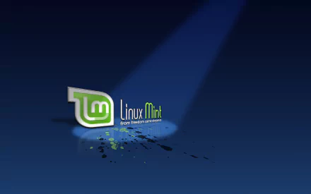 2K Quad HD PC desktop wallpaper showing the Linux Mint logo on a deep blue gradient with a spotlight and green tech particles — Linux technology background.