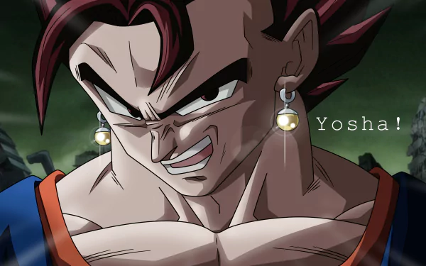 Vegito (Dragon Ball) Anime Dragon Ball Super HD Desktop Wallpaper | Background Image
