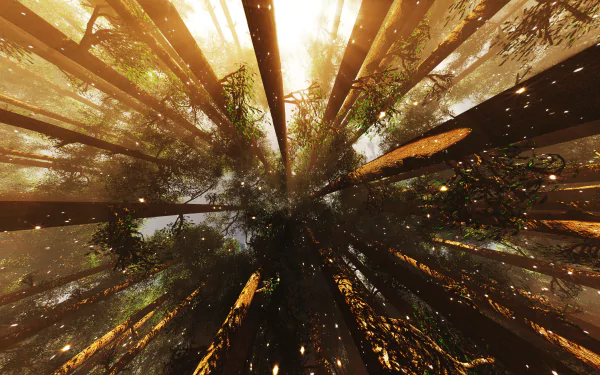 canopy nature forest HD Desktop Wallpaper | Background Image