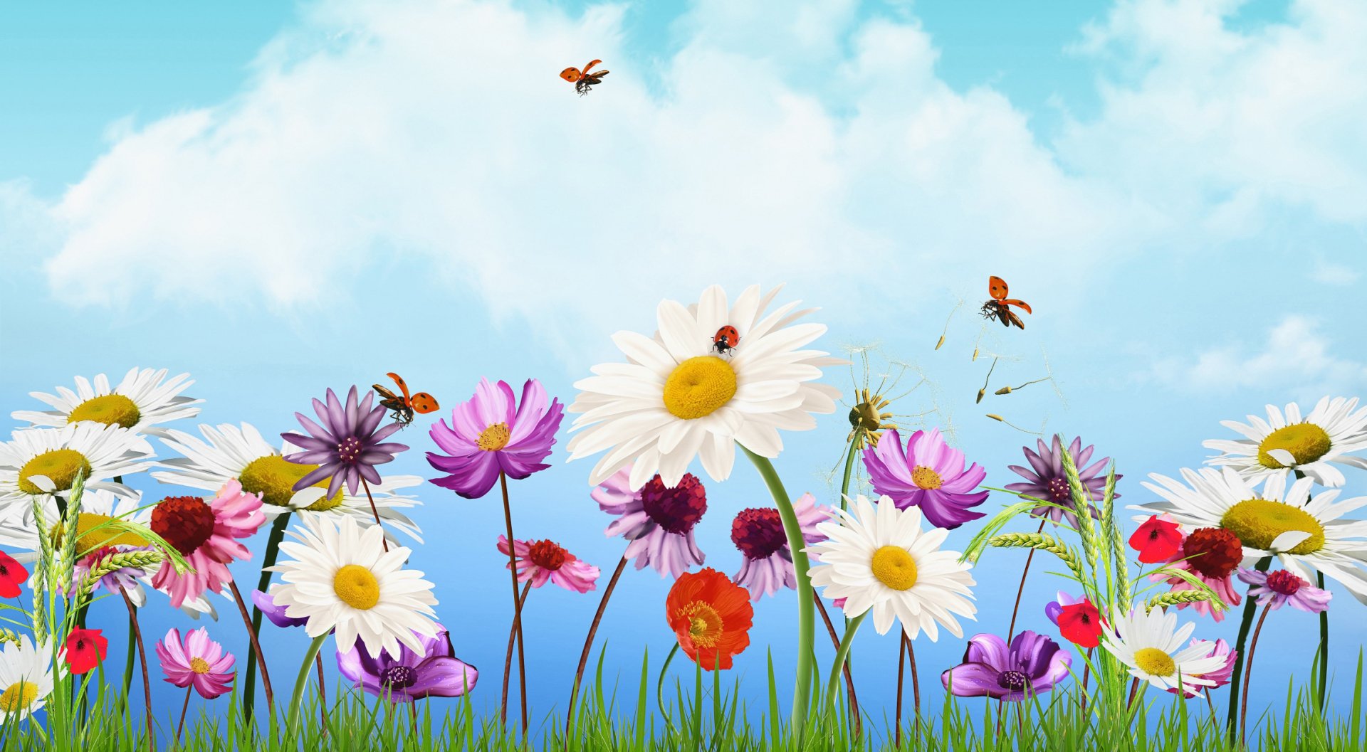 Download Colorful Flower Artistic Spring HD Wallpaper