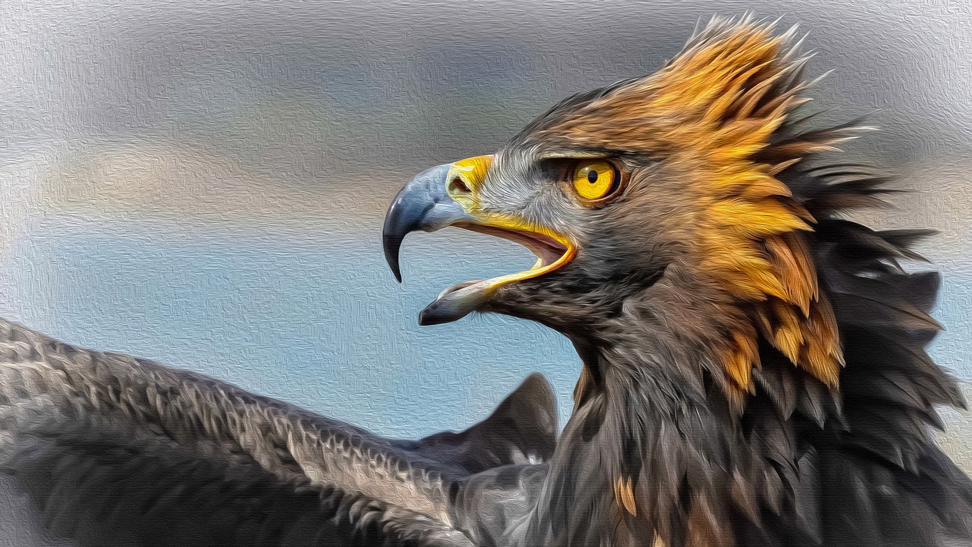 Animal Eagle 4k Ultra HD Wallpaper by Manufan63