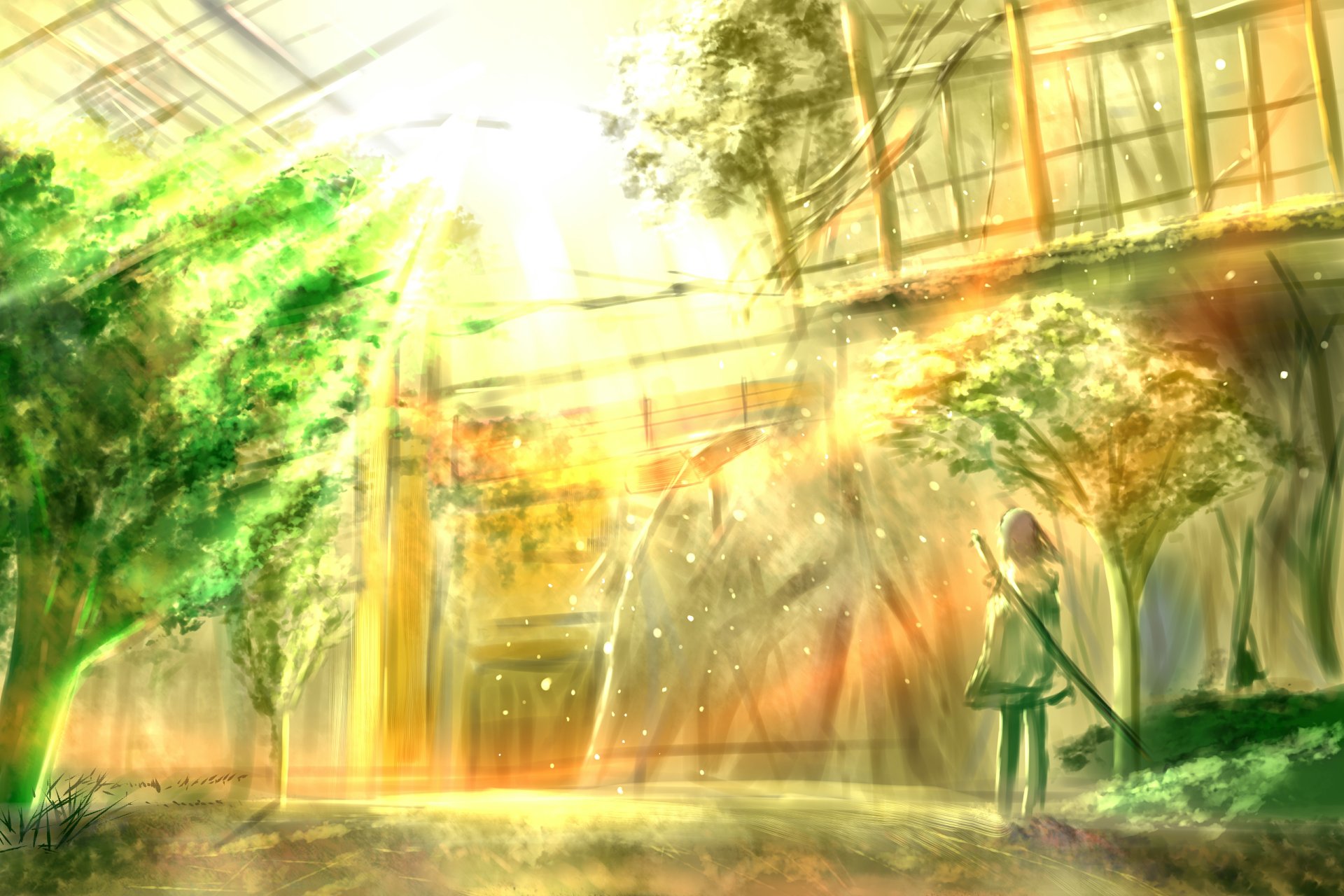 Download Tree Sunshine Anime Original 4k Ultra HD Wallpaper by ツチヤ