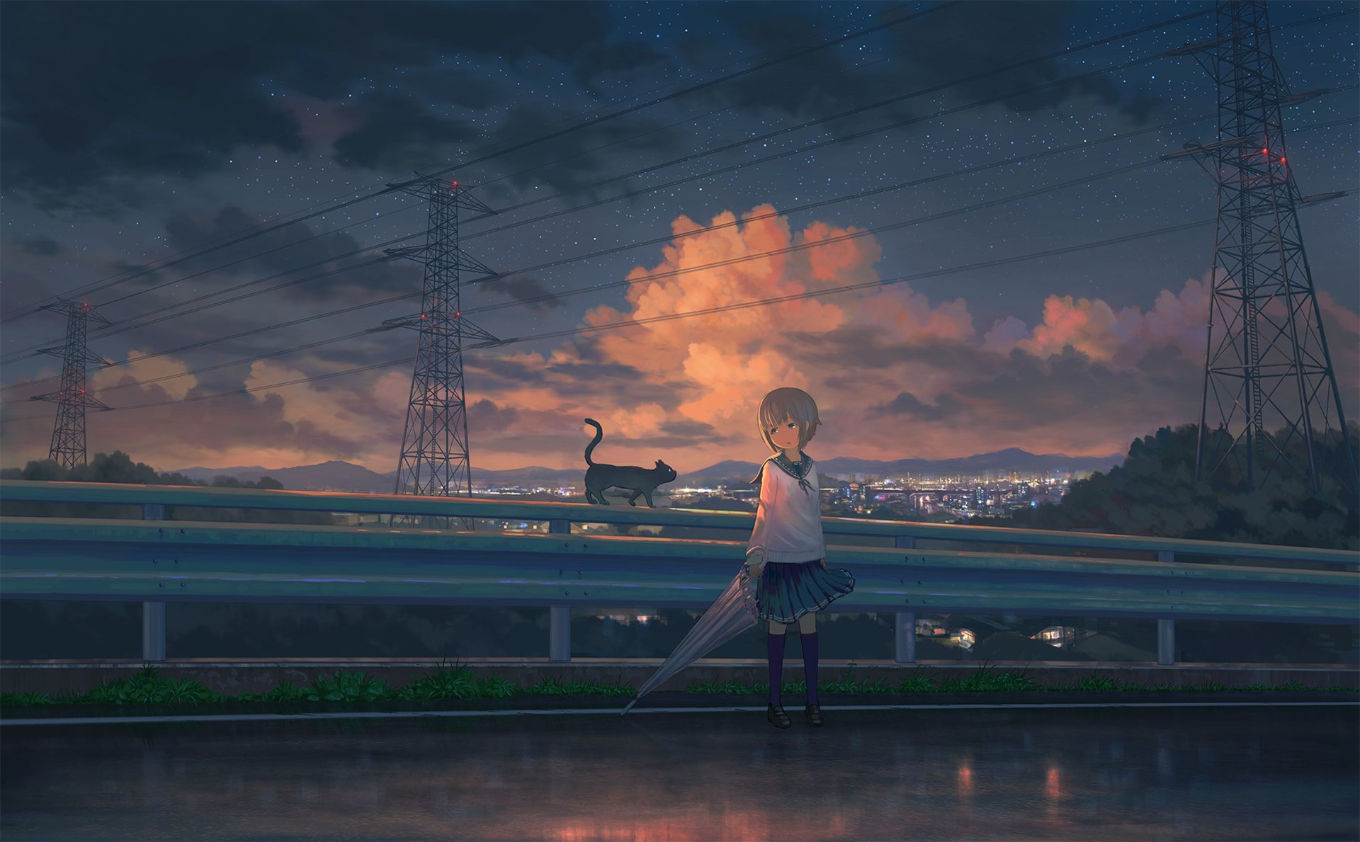 A serene anime scene featuring a girl with an umbrella and a cat by the roadside, under a starry sky. This HD wallpaper captures a tranquil moment in a vibrant landscape.