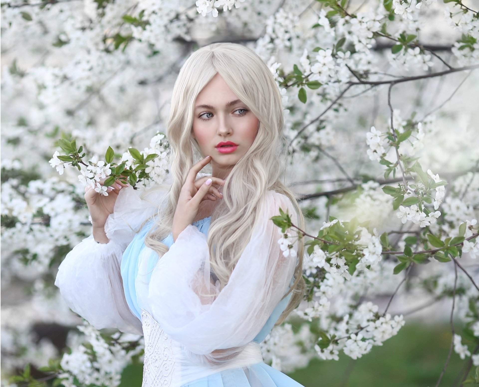 Download Blossom White Flower Blue Eyes Lipstick White Hair Woman Model HD Wallpaper by Irina Golubyatnikova
