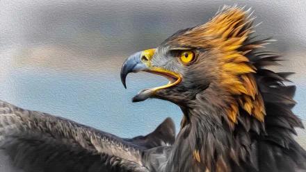 4K Ultra HD PC desktop wallpaper of an animal — a close-up eagle with golden head feathers, piercing yellow eye and open beak against a soft sky background.
