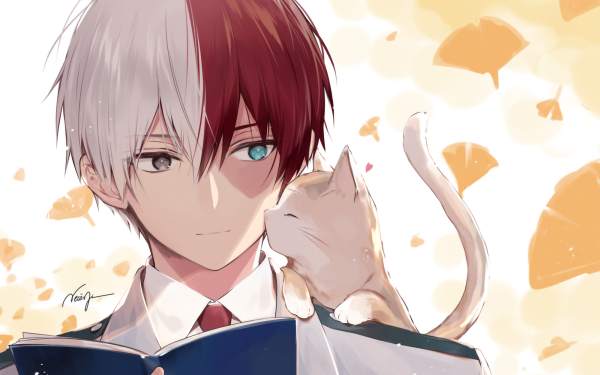 Anime My Hero Academia Shoto Todoroki Heterochromia Cat HD Wallpaper | Background Image