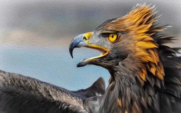 4K Ultra HD PC desktop wallpaper of an animal — a close-up eagle with golden head feathers, piercing yellow eye and open beak against a soft sky background.