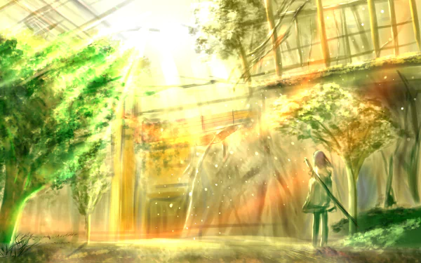 tree sunshine Anime Original HD Desktop Wallpaper | Background Image