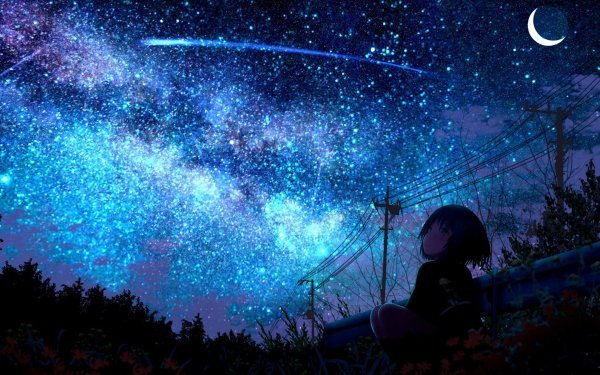 Anime Original Starry Sky Shooting Star Night HD Wallpaper | Background Image