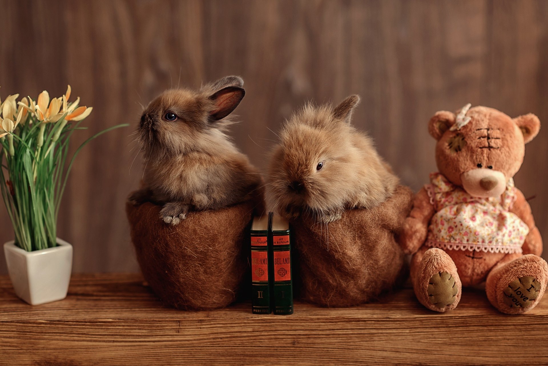 HD desktop wallpaper showing two fluffy rabbits in brown pots next to a teddy bear and a small potted plant on a wooden surface with a wooden background.