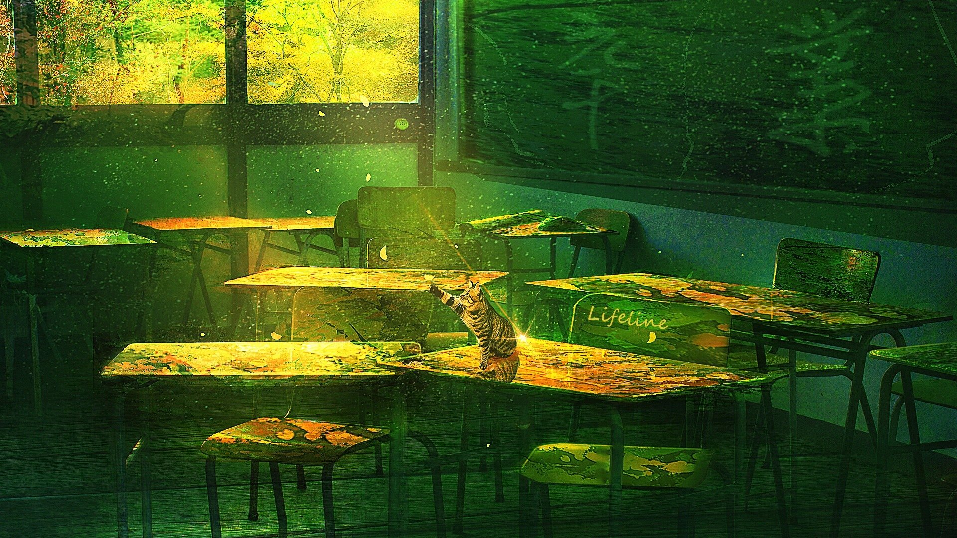 HD anime-style desktop wallpaper of a green-toned classroom with sunlight streaming through windows and a cat sitting on a desk, blending original anime room and cat themes.