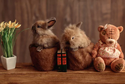 HD desktop wallpaper showing two fluffy rabbits in brown pots next to a teddy bear and a small potted plant on a wooden surface with a wooden background.