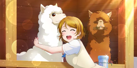 Hanayo Koizumi Anime Love Live! School Idol Festival ALL STARS HD Desktop Wallpaper | Background Image