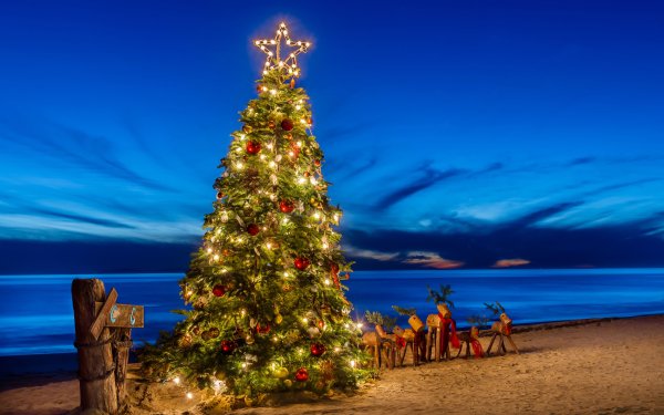 Holiday Christmas Christmas Tree Beach Ocean Horizon Sky HD Wallpaper | Background Image