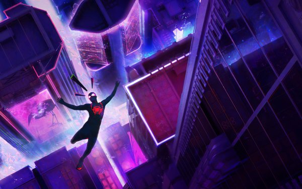 Movie Spider-Man: Into The Spider-Verse Spider-Man Miles Morales HD Wallpaper | Background Image