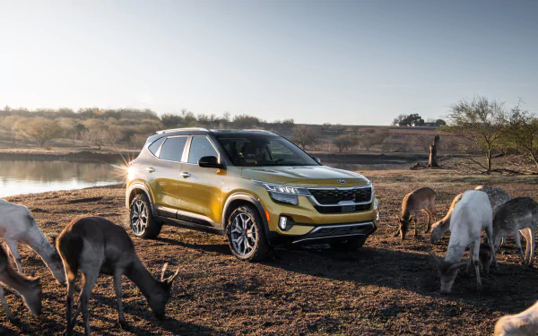 SUV yellow car car Kia vehicle Kia Seltos HD Desktop Wallpaper | Background Image