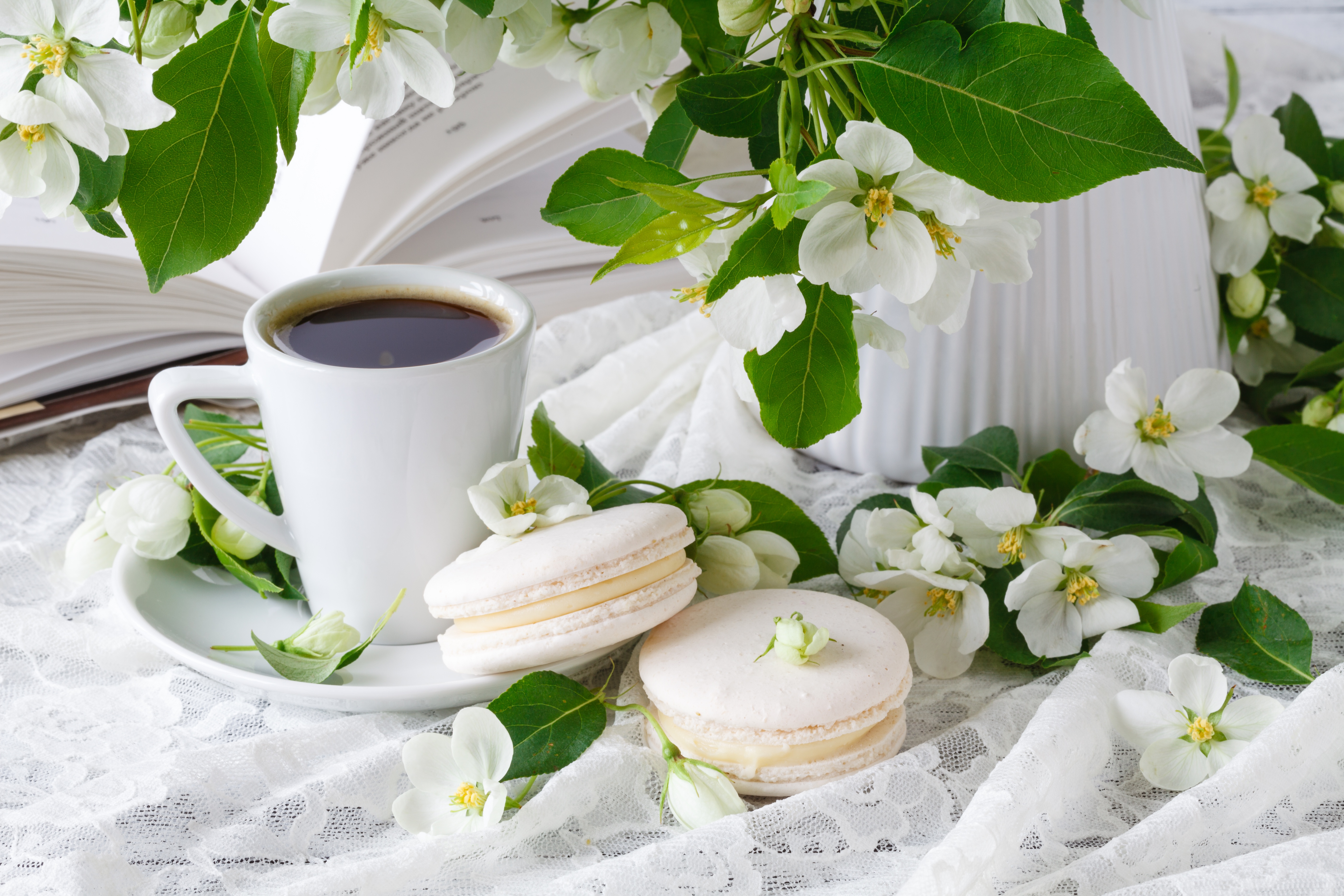 Доброе весеннее утро с чаем. Кофе и цветы. Весеннее утро. Утренние цветы. Чашка кофе и цветы.