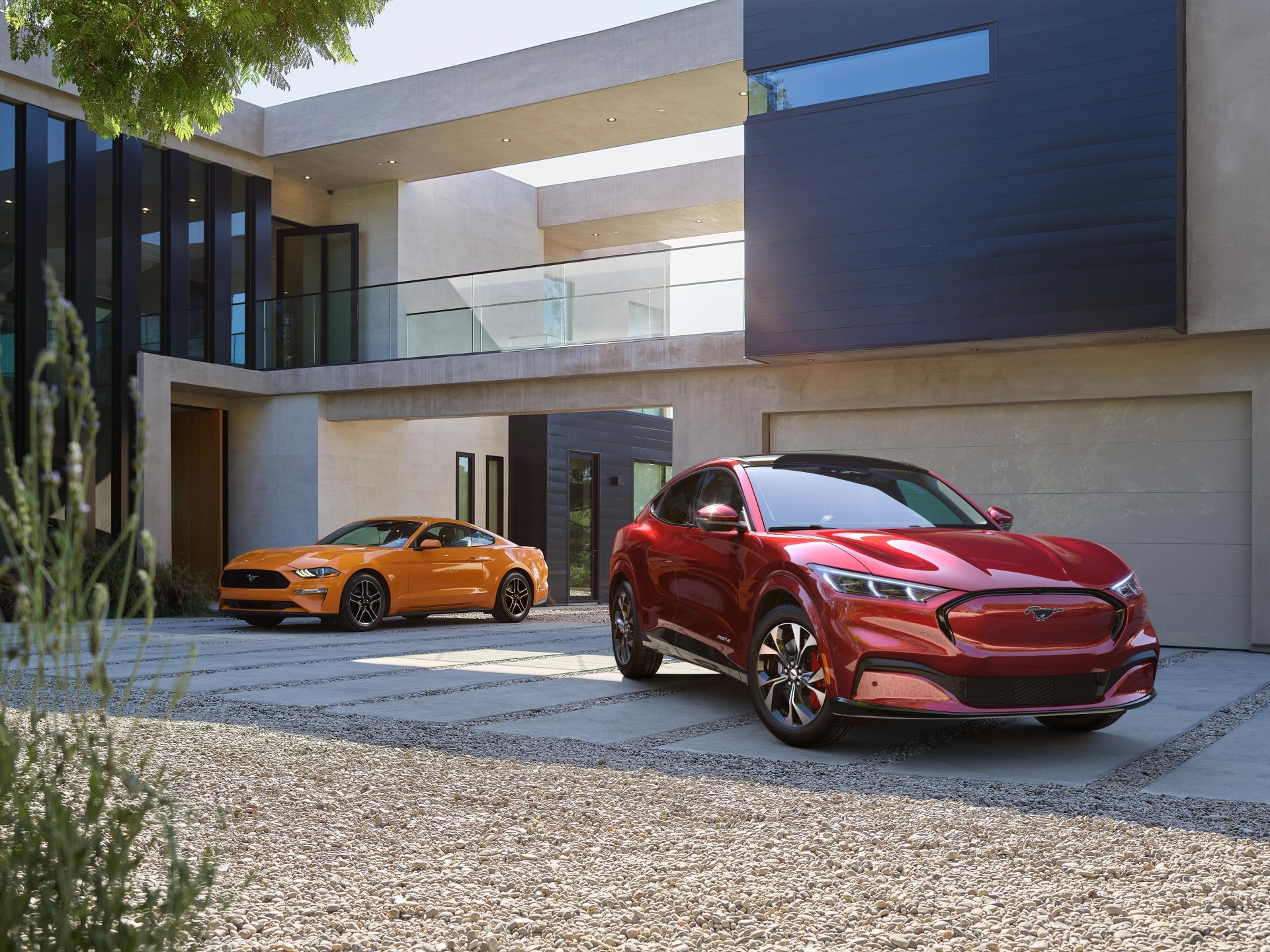 Download Electric Car SUV Car Ford Mustang Ford Vehicle Ford Mustang Mach-E 8k Ultra HD Wallpaper