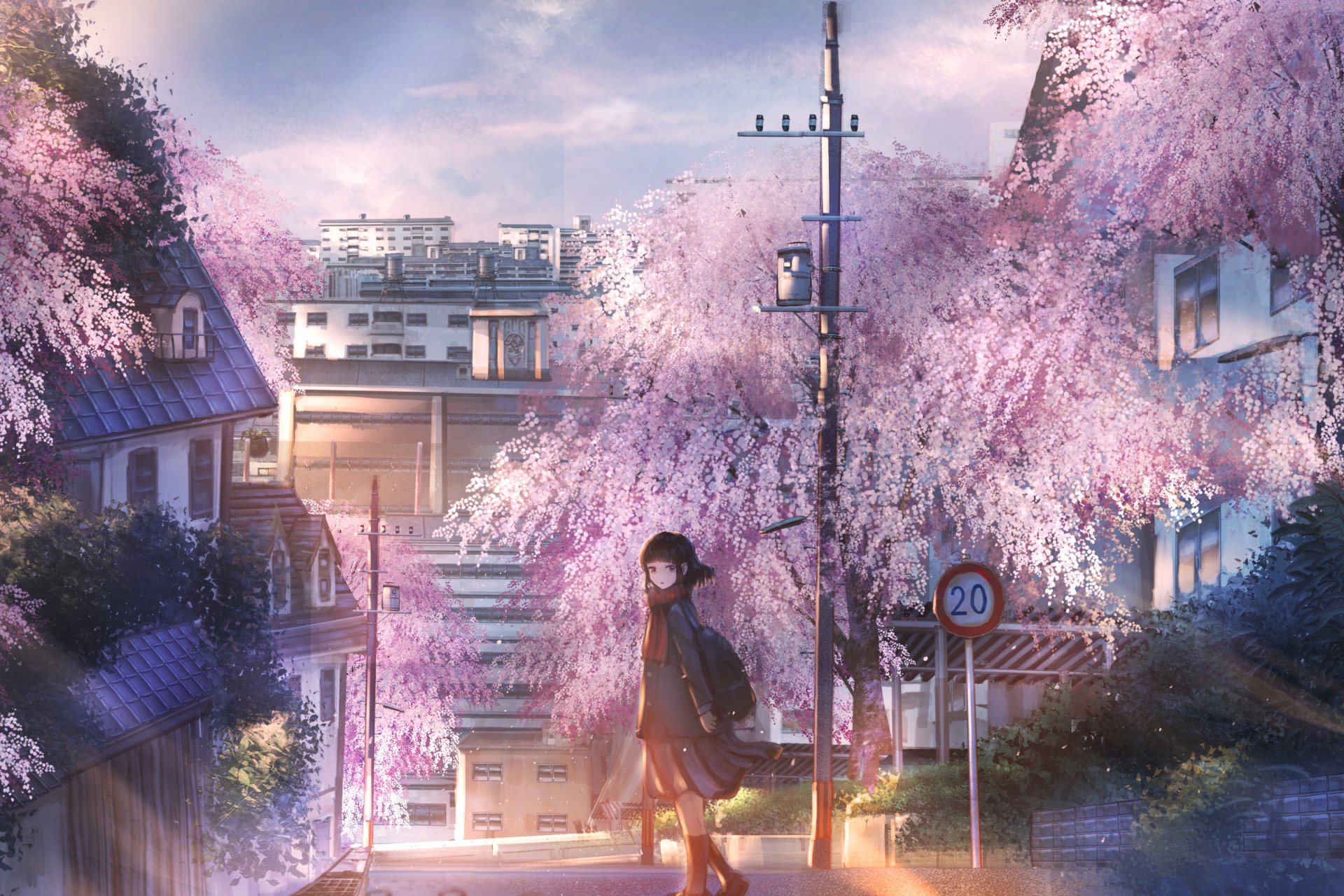 Download Spring Sakura Short Hair Cherry Blossom Anime Original Spring Anime HD Wallpaper by ナコモ
