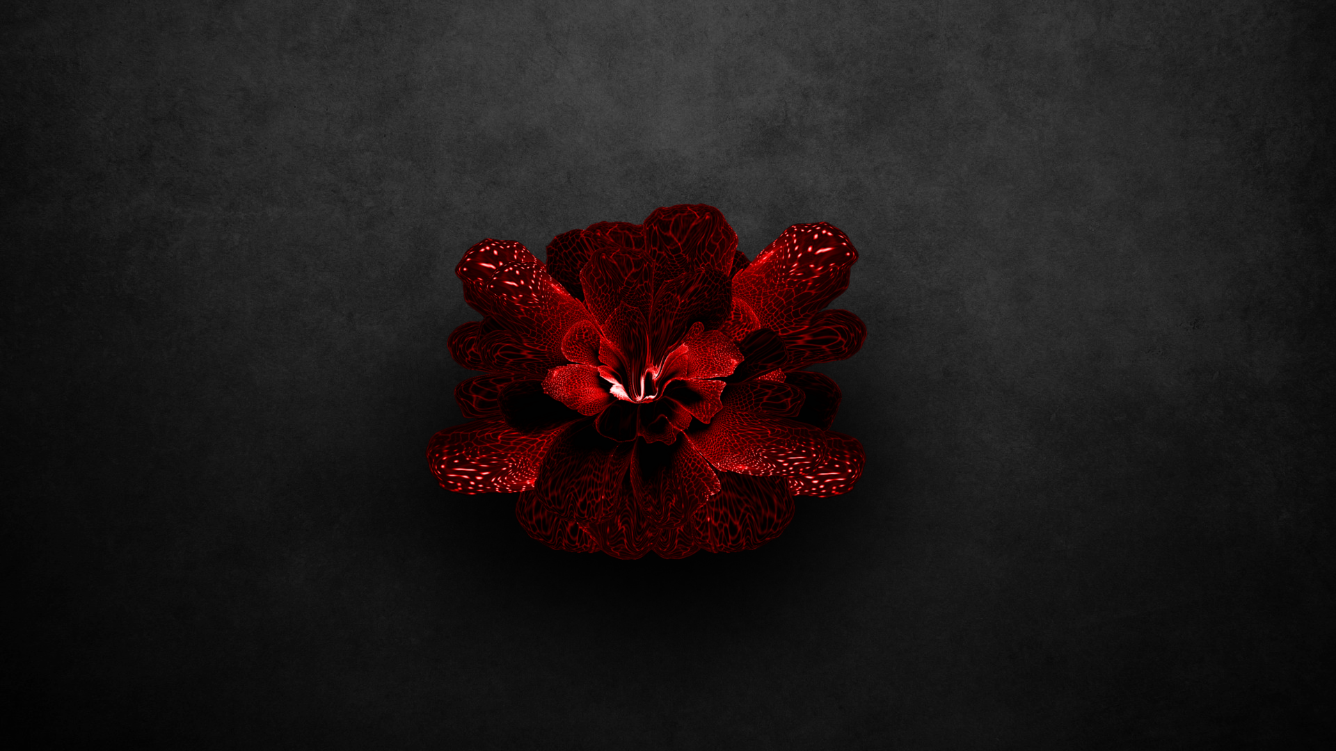 Download Red Flower Artistic Flower HD Wallpaper by Stello